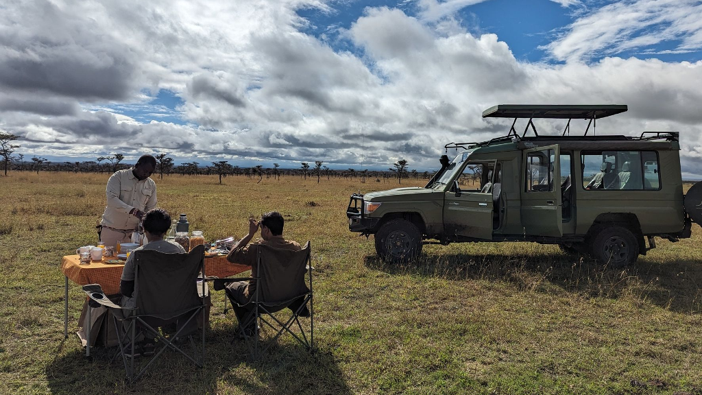 10 Day anniversary Safari in Africa 