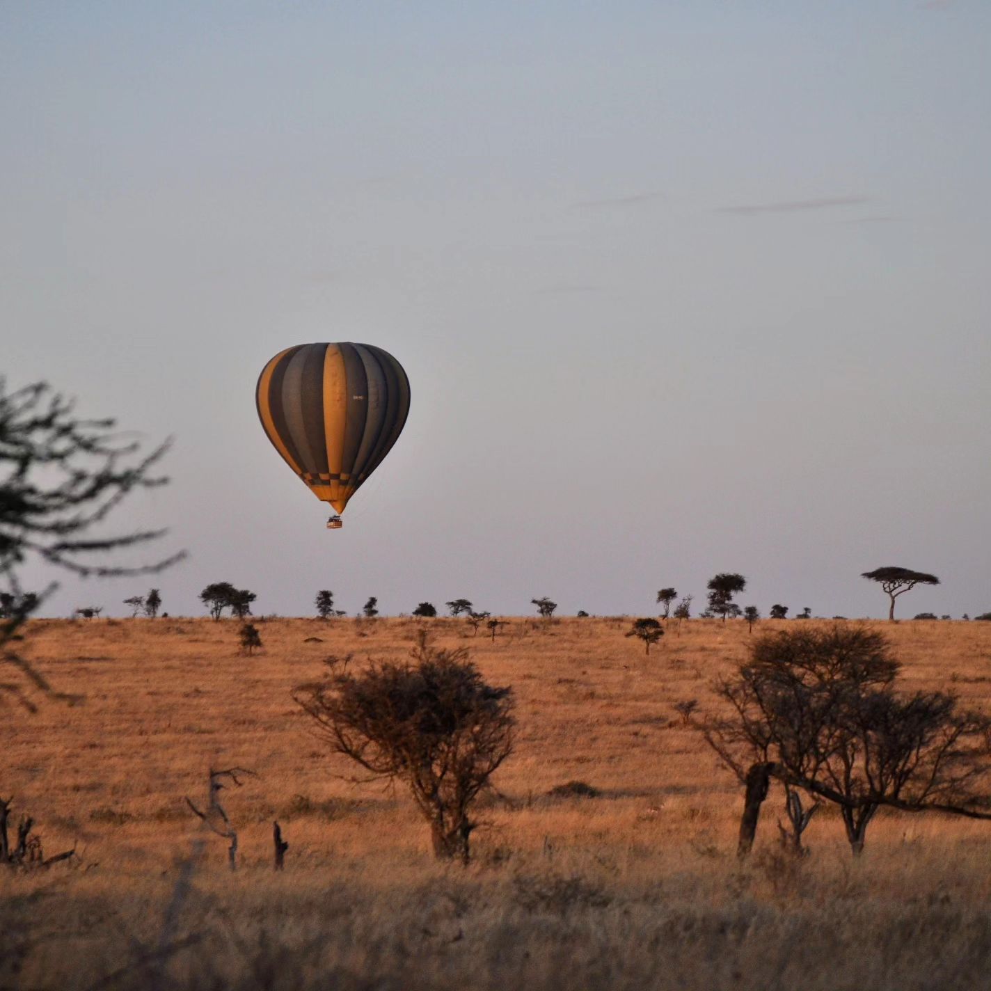 balloon safari