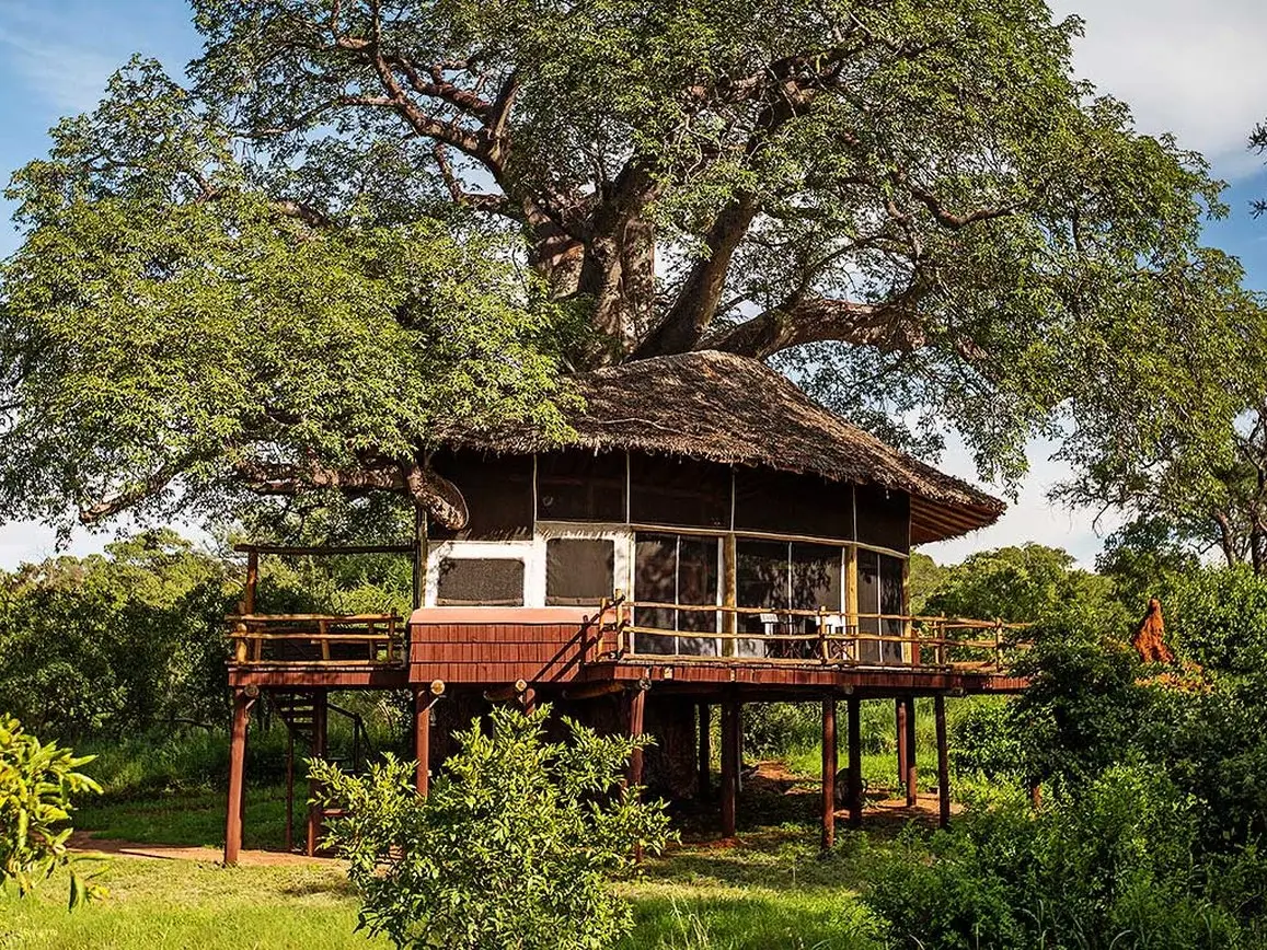 Tarangire Treetops Lodge