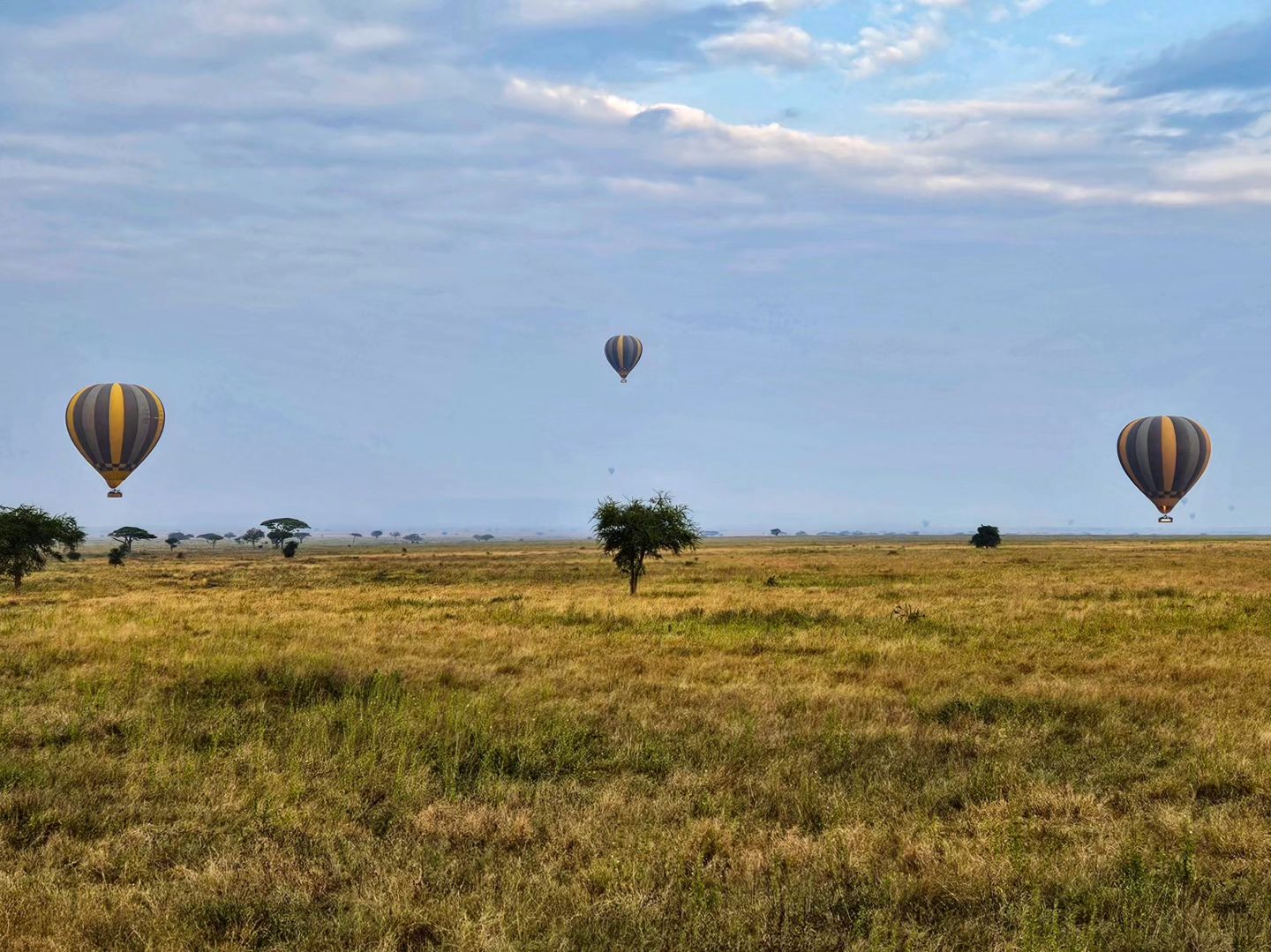 Hot Air Balloon Safari over Serengeti Plains