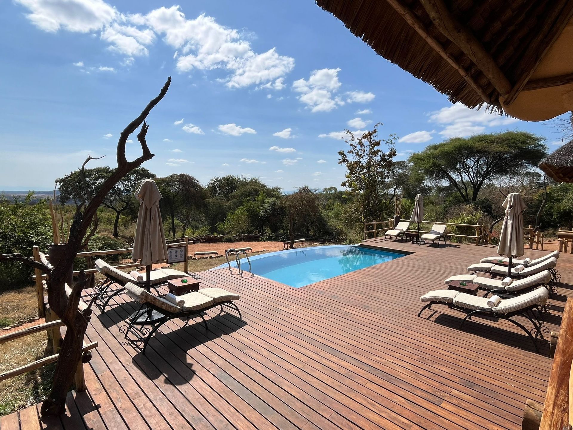 Infinity Pool Overlooking Serengeti at Sayari Camp