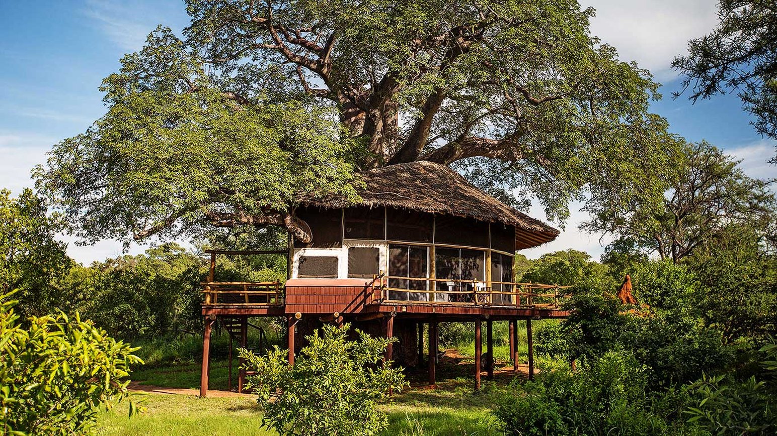 Treehouse Suite at Tarangire Treetops Lodge