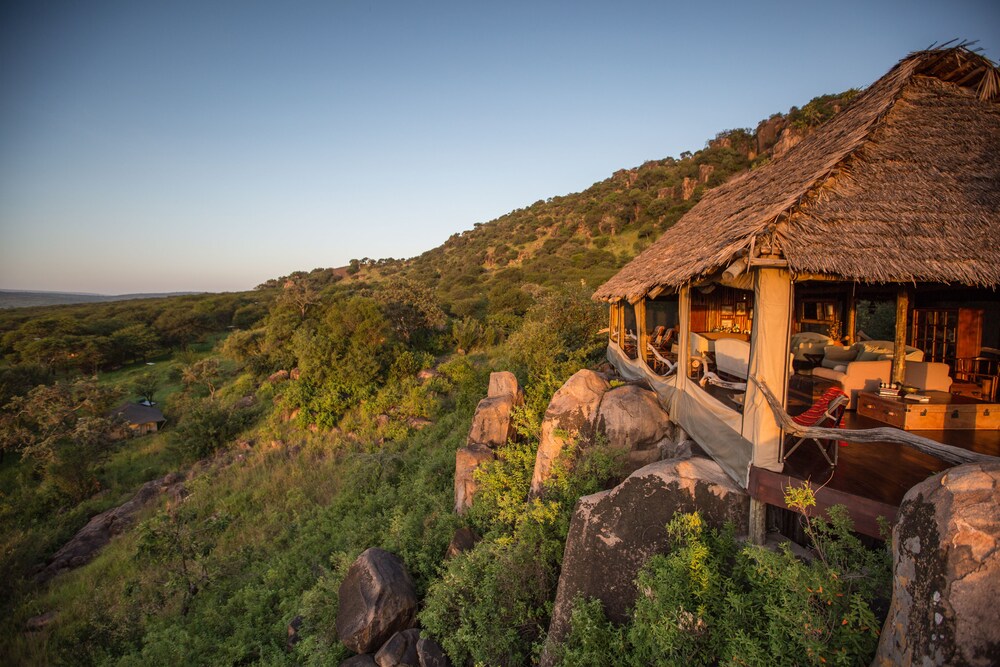 Serengeti safari