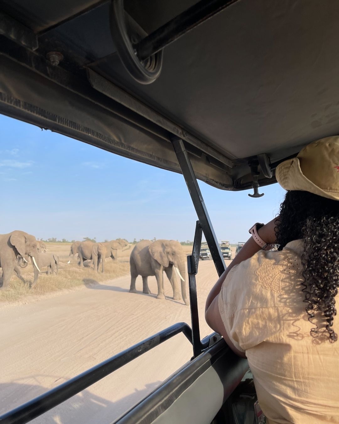 luxury African safari tours | TakeAroad