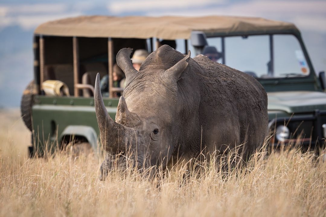 luxury African safari tours | TakeAroad