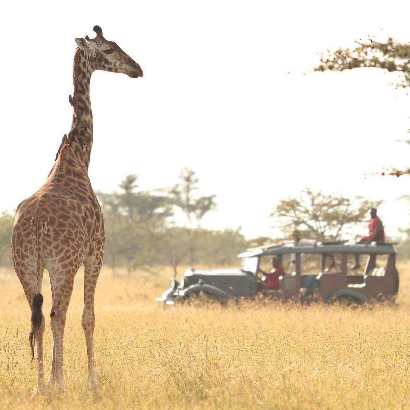 luxury African safari tours | TakeAroad